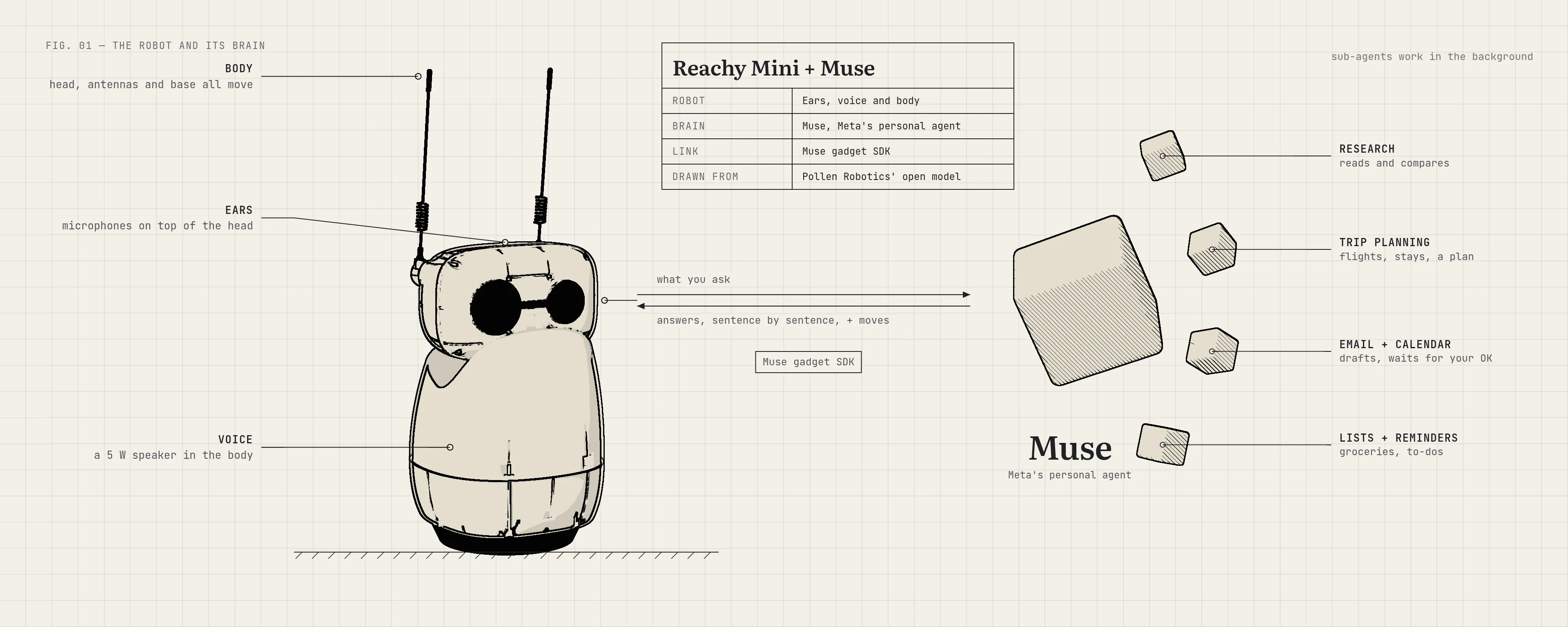 A technical drawing on cream grid paper. On the left, Reachy Mini Lite, drawn from Pollen Robotics' open 3D model, with callouts for its body (head, antennas and base all move), ears (microphones on top of the head) and voice (a 5 W speaker in the body). Two arrows link the robot's head to a large shaded cube on the right labelled Muse, Meta's personal agent: "what you ask" goes to Muse, and "answers, sentence by sentence, + moves" come back, over the Muse gadget SDK. Four small cubes beside Muse are its sub-agents, which work in the background: research, trip planning, email + calendar, and lists + reminders. A title block above the link reads: Reachy Mini + Muse.